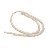 Dyed Natural Freshwater Shell Beads Strands BSHE-G039-07N-2