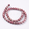 Natural Fossil Coral Beads Strands G-F563-01-8mm-2