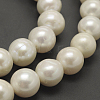Natural Cultured Freshwater PearlBeads Strands PEAR-f001-31-01-4