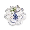 Transparent Resin Cabochons RE-CBA7537-01B-1