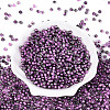 Transparent Inside Colours Glass Seed Beads SEED-T007-19A-03-1