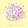 2 Sets Glass Seed Beads DIY-FS0008-27D-7