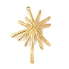 304 Stainless Steel Pendants STAS-L293-09B-G-1
