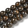 Natural Boulder Opal Beads Strands G-P544-A01-03-1