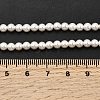 Electroplated Shell Pearl Beads Strands X-BSHE-K017-4mm-4