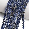 Natural South Africa Sodalite Beads Strands G-S259-35-4mm-3