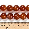 Dyed Natural Carnelian Beads Strands G-G203-10N-14mm-5