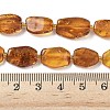Natural Amber Beads Strands G-L095-C01-04-5