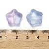 Transparent Glass Beads X-GLAA-B029-01A-3