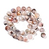 Natural Cherry Blossom Agate Beads Strands G-G182-B40-03-3