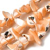 Natural Trochid Shell/Trochus Shell Beads Strands SHEL-B003-02B-1