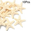 10Pcs Resin Decoden Cabochons CRES-YW0001-42A-1