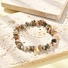 Natural Alashan Agate Chips Beaded Stretch Bracelets BJEW-JB09476-03-2