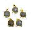 Natural Labradorite Pendants G-O176K-09G-1