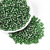 Picasso Baking Paint Glass Seed Beads SEED-N007-35E-1