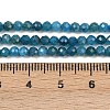 Natural Apatite Beads Strands G-E411-36-3mm-01-5