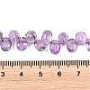 Natural Amethyst Beads Strands G-Z152-A01-01-5