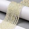 Electroplate Transparent Glass Beads Strands GLAA-H021-01B-FR04-3