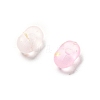 Gradient Color Transparent Frosted Acrylic Beads X1-OACR-M023-06C-2