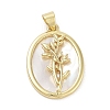 Rack Plating Brass Pave Shell Pendants KK-Z064-28G-01-1