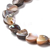 Natural Paua Shell Beads Strands SSHEL-G023-15-3