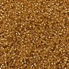 MIYUKI Round Rocailles Beads LS-X-SEED-G007-RR0004-3