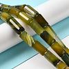 Natural Agate Beads Strands G-H295-E01-12-2
