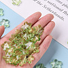 Transparent Acrylic Beads TACR-S154-32B-83-5