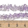 Natural Amethyst Beads Strands G-G0003-B45-4