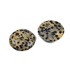 Natural Dalmatian Jasper Cabochons G-H1596-FR-25mm-07-2