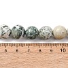 Natural Tree Agate Beads Strands G-T150-A09-12mm-5