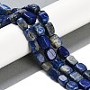 Natural Lapis Lazuli Beads Strands G-M403-D03-01-2