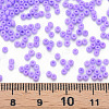 13/0 Glass Seed Beads SEED-T005-14A-A17-4