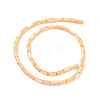 Natural Freshwater Shell Dyed Beads Strands SHEL-M018-11-02-2