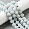 Natural Aquamarine Beads Strands G-I349-A01-01A-5