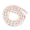 Opaque Solid Color Electroplate Glass Beads Strands EGLA-N013-P10mm-B08-2