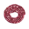 Natural Rhodonite Beads Strands G-P553-G06-02-3