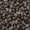 Transparent Colours Glass Seed Beads SEED-F006-03A-08-3