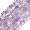 Natural Amethyst Beads Strands G-P497-01E-21-1