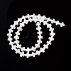 Natural Freshwater Shell Beads Strands SSHEL-B002-11-2