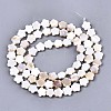 Natural Freshwater Shell Beads Strands SHEL-N027-02-2