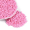 Opaque Glass Seed Beads GLAA-Q119-01-A02-1