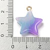 Gradient Color Resin Pendants FIND-Z010-01C-3