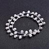 Natural Howlite Beads Strands G-J360-02-2