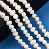 Natural Cultured Freshwater Pearl Beads Strands PEAR-N013-04E-6