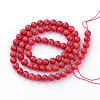 Dyed Natural Coral Bead Strands CORA-S019-35-2