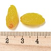 Fruit Opaque Resin Decoden Cabochons RESI-H156-01-08-3