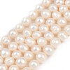 Natural Cultured Freshwater Pearl Beads Strands PEAR-I007-07Z-03C-01-2