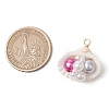 Natural Clam Shell Pendants PALLOY-JF03551-2