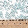 AB Color Plated Glass Seed Beads SEED-L011-06B-06-4